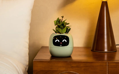 Ivy® Desk Plant Pot