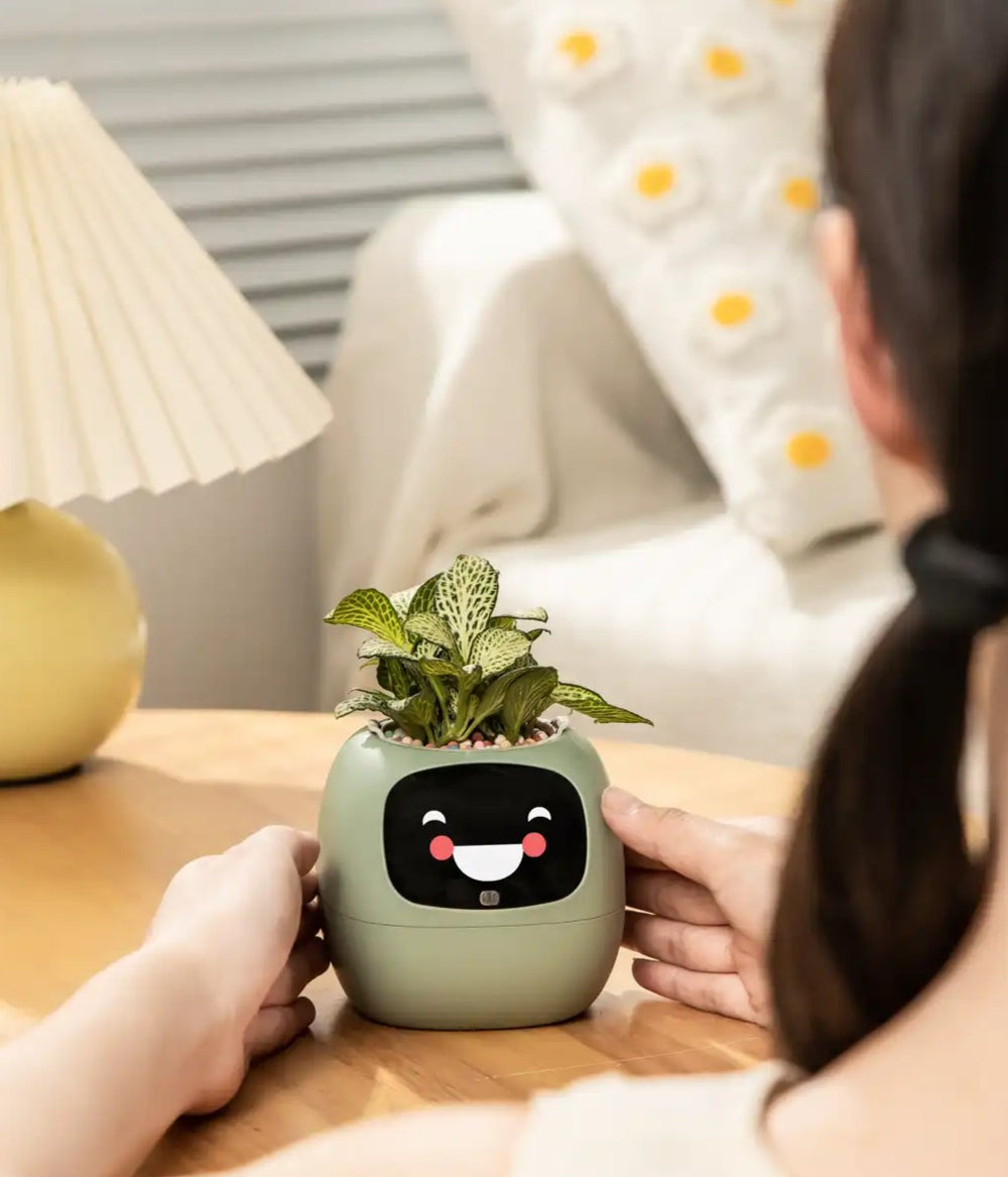 Ivy® Desk Plant Pot
