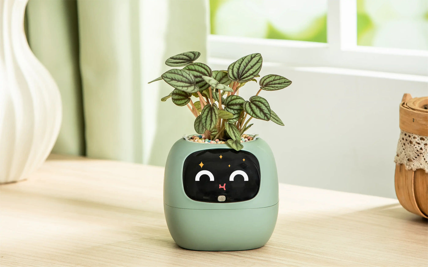 Ivy® Desk Plant Pot
