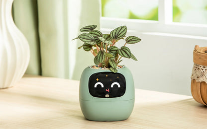 Ivy® Desk Plant Pot