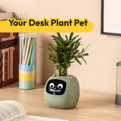Ivy® Desk Plant Pot