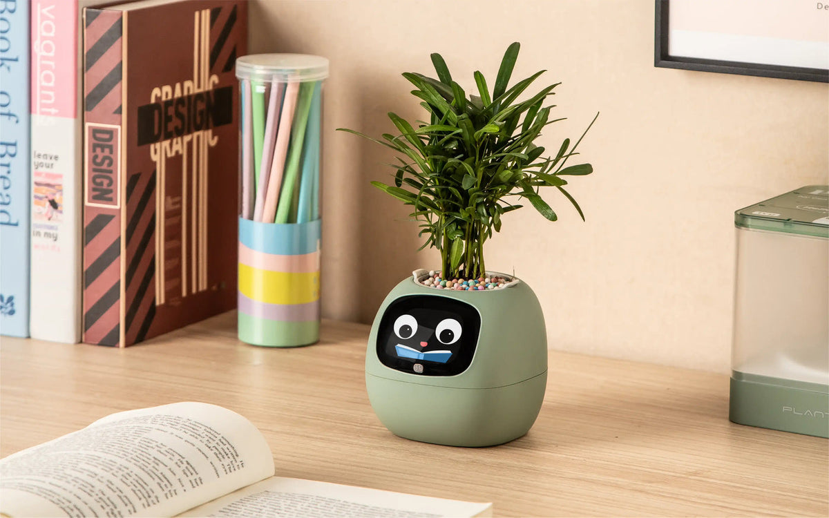 Ivy® Desk Plant Pot