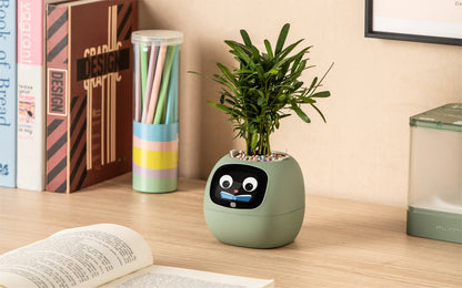 Ivy® Desk Plant Pot