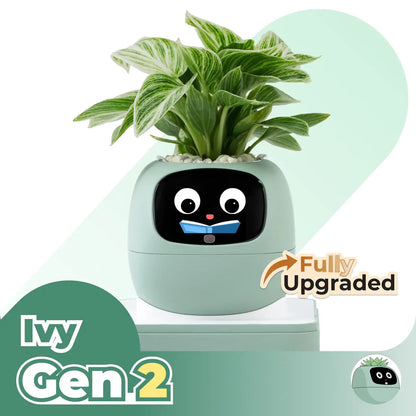 Ivy® Desk Plant Pot