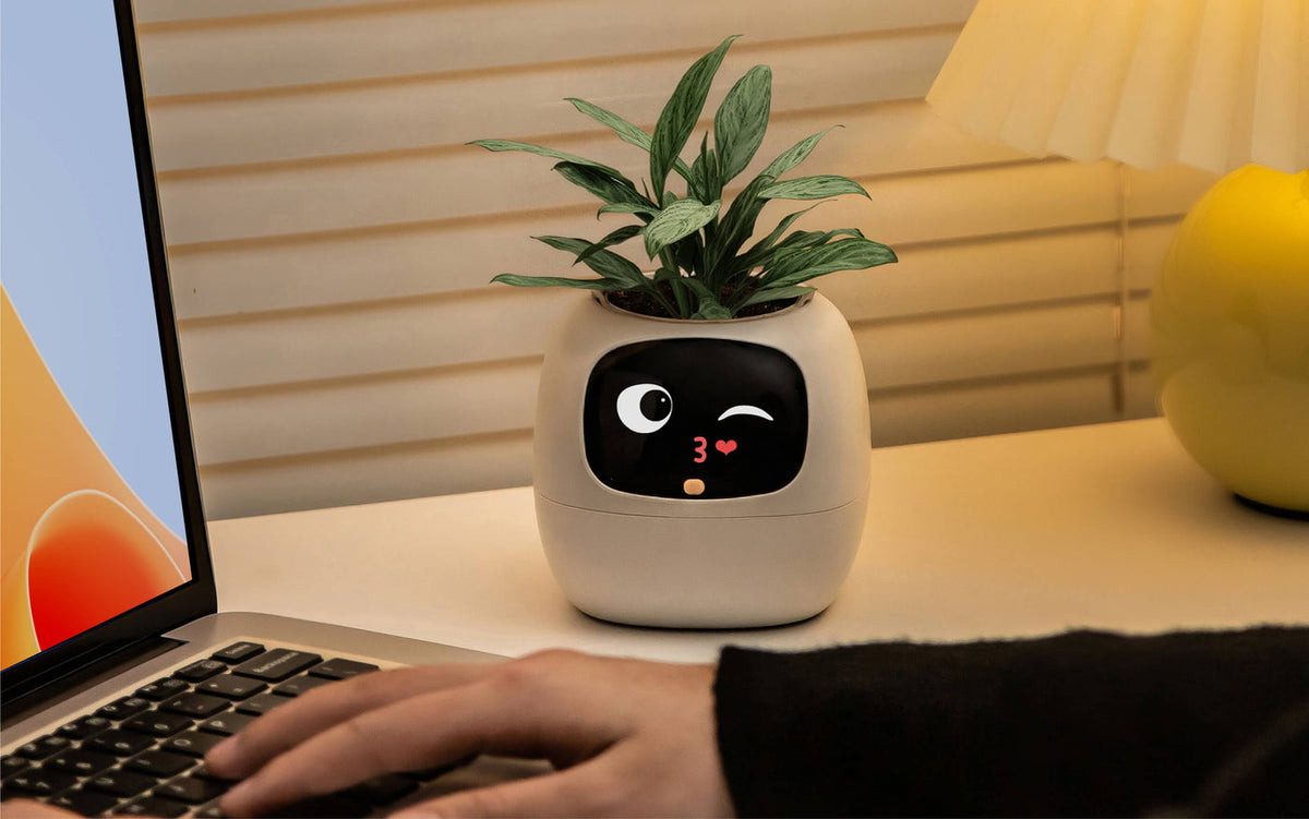 Ivy® Desk Plant Pot