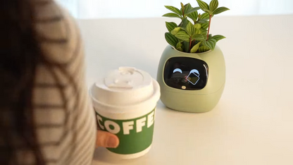 Ivy® Desk Plant Pot